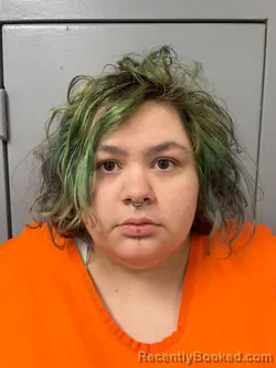 Mugshot of Rylee Brooke McGill booked in Kanawha County, West Virginia on May 15, 2026