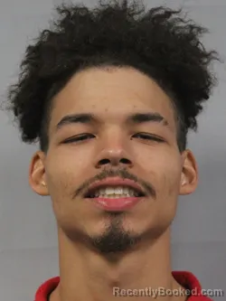 Mugshot of Shaquan Carter