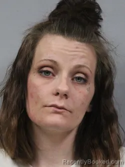 Mugshot of Veronica Ann Fannin booked in Kanawha County, West Virginia on April 27, 2026