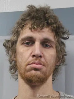 Mugshot of Zachary Brice Harless