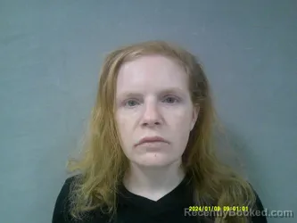 Mugshot of Brittany Denae Hanners booked in Lewis County, West Virginia on April 27, 2026