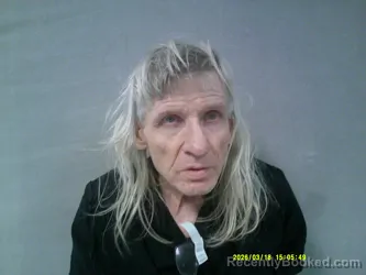 Mugshot of James Harvey Fultineer