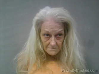 Mugshot of Kimberly Ann Mackey booked in Lewis County, West Virginia on July 28, 2026