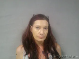 Mugshot of Tisha Dawn Smith booked in Lewis County, West Virginia on August 14, 2026