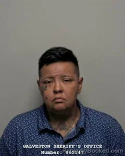 Mugshot of Danielle Sophia Perez booked in Galveston County, Texas on September 14, 2026