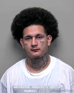 Mugshot of Angel Gabriel Lucio booked in Galveston County, Texas on September 16, 2026