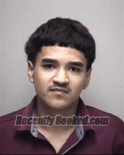 Booking photo from Galveston County, Texas