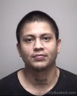 Mugshot of DANIS CRUZ REYES