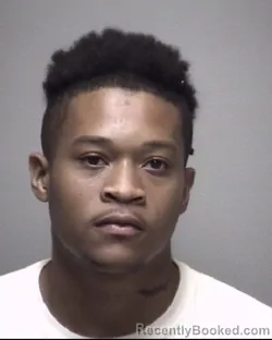 Mugshot of ROSHAWN DURAND JOHNSON