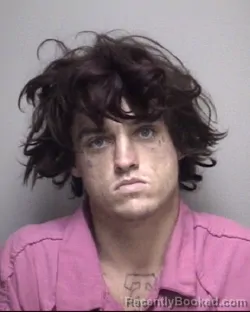 Mugshot of JORDAN THOMAS SEBESTA