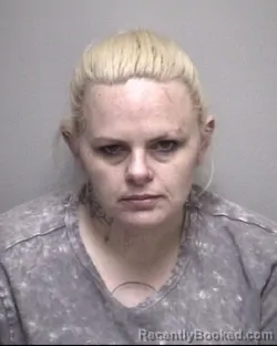 Mugshot of MEGAN LYNETTE CUMMINGS