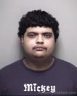Mugshot of MOISES MALDONADO VELEZ