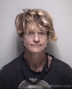 Mugshot of VANESSA ANN THOMAS