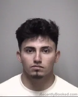 Mugshot of MANUEL ARNOLDO VALDEZ FLORES