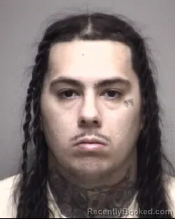 Mugshot of MARIO ANTHONY HERRERA
