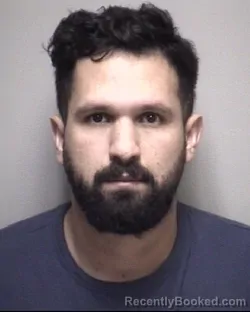 Mugshot of MEHRDAD . LAYEGH