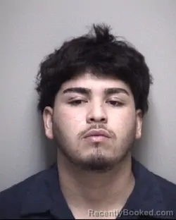 Mugshot of RAUL JOSUE MORAN