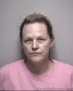 Mugshot of LISA KAY ERWIN