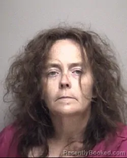Mugshot of AMANDA NICOLE MCDONALD