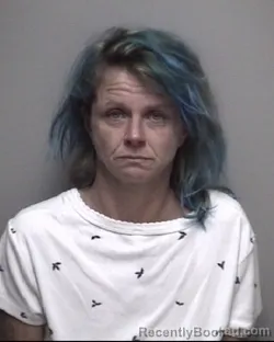 Mugshot of SHANNON IRENE LAWE