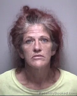Mugshot of BRANDY YVETTE BURKE