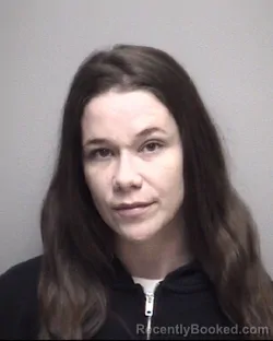 Mugshot of BRANDIE JEANETTE HOLMAN