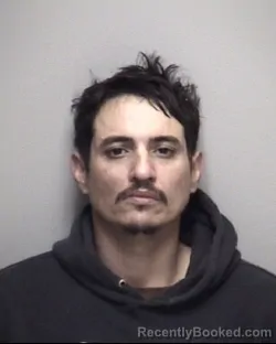 Mugshot of ROBERT BROWN PEREZ