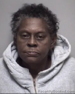 Mugshot of LISA DIANE NAILER