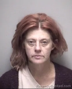 Mugshot of VERONICA LEIGH HUBENAK