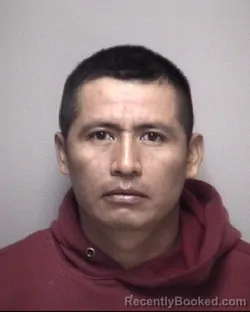 Mugshot of MIGUEL . CAL CAL