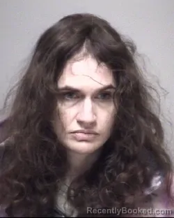 Mugshot of ERIN MICHELLE EPPERSON