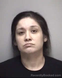 Mugshot of ERIN JESILLE SALINAS