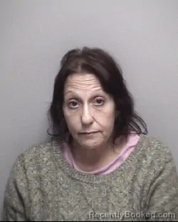 Mugshot of MARY ALICIA GILSON