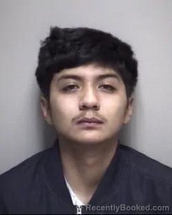 Mugshot of OSWALDO JESUS OBREGON