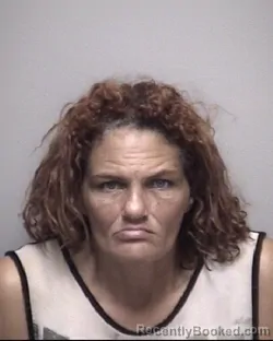 Mugshot of CRYSTAL LEE HATCH
