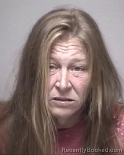 Mugshot of BELINDA SUE WENTE