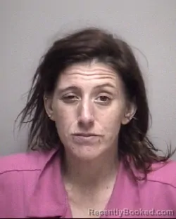 Mugshot of KRISTEN NICOLE MCDANIEL
