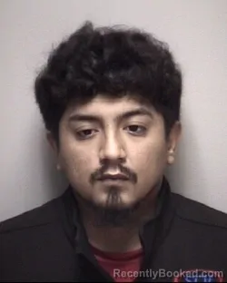 Mugshot of JORGE LUIS ARAUZA