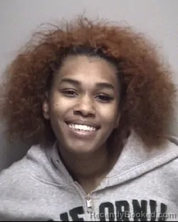 Mugshot of BREANNAH DANYIELLE HAMPTON