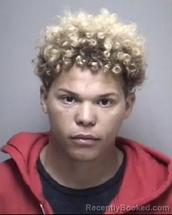 Mugshot of EDDIE DARNELL MCCOY