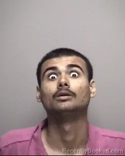 Mugshot of PAULO GUISEPPE MAIRA