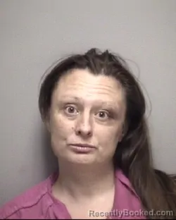 Mugshot of ASHLEIGH NICHOLE HALL
