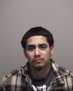 Mugshot of JORGE ENRIQUE SHAMSI