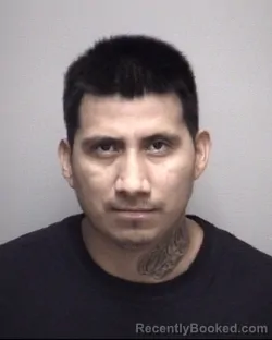 Mugshot of RICARDO . LOPEZ VELASQUEZ