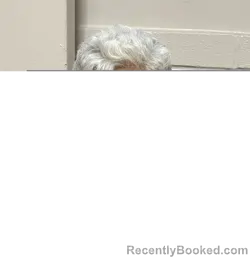 Mugshot of ARMANDO TABARES MIRANDA