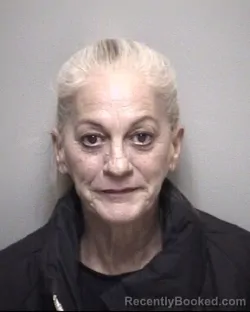 Mugshot of CAROL LYNN WINTERS