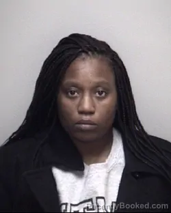 Mugshot of DASMINE RACHELLE FIELDS