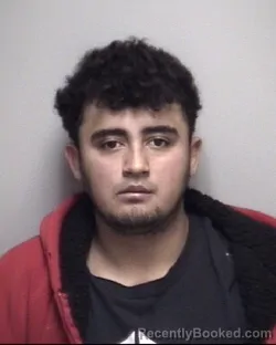 Mugshot of NELSON ANTONI FLORES MALDONADO