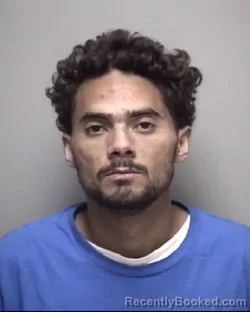 Mugshot of DANTE DWAYNE DAVIS