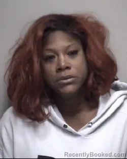 Mugshot of DIAUNDRA KATRICE FLANAGAN